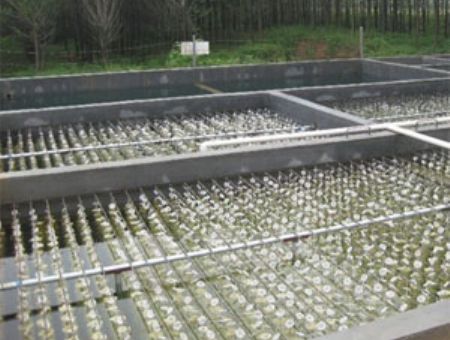 點擊查看詳細信息<br>標題：養殖污水處理 閱讀次數：5130